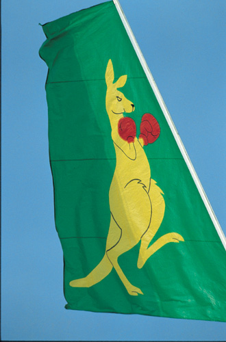 Attached picture 18532-Boxing Kangeroo.jpg